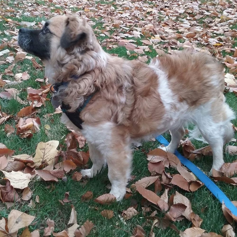 Meet your Posher, Carly